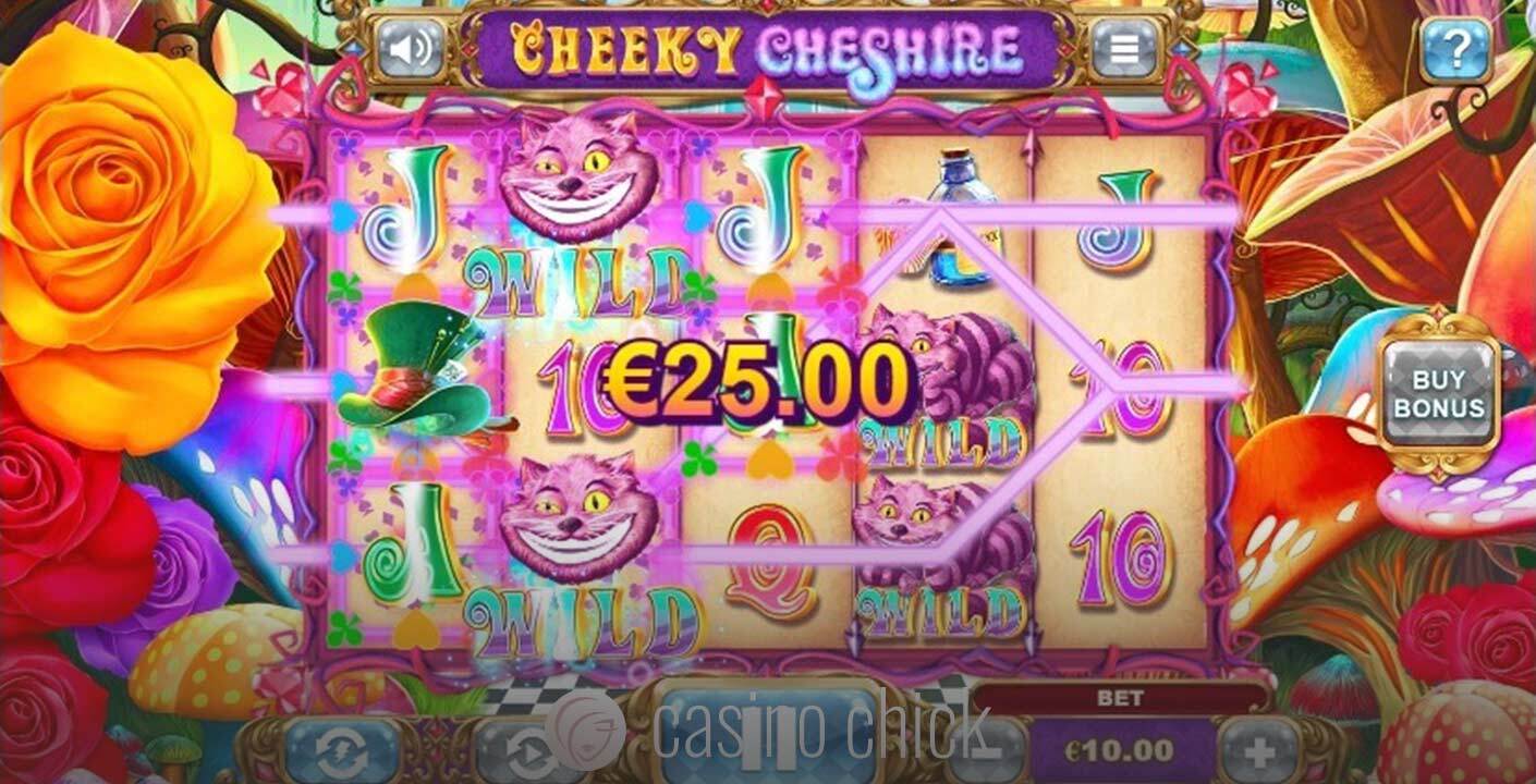 Cheeky Cheshire Slot thumbnail - 2