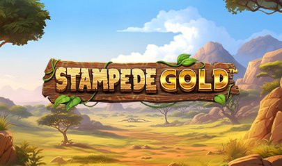 Stampede Gold Betsoft